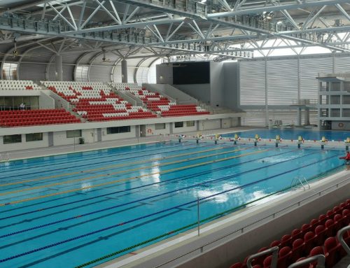 Slovenská plavecká federácia: Čo všetko sa deje v profesionálnom plávaní?